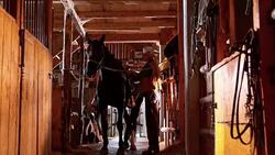 DS Female rancher tying the saddle on the horse Stock Footage