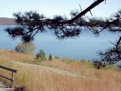 WS PAN Mature man jogging on nature trail / Clinton, New Jersey, USA Stock Footage