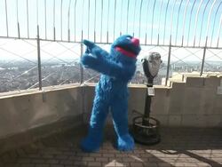 Grover at Elmo, Cookie Monster, Grover And Abby Cadabby Visit The Empire State Building To Promote '1-2-3 Imagine! With Elmo & Friends' on 02/21/2012 in New York City, NY.   Stock Footage