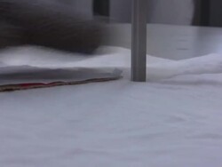 Cutting fabrics Stock Footage