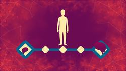 TED-ED: Inside the minds of animals - Bryan B Rasmussen Instructional Video