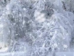 Winter Christmas Background Video Stock Footage