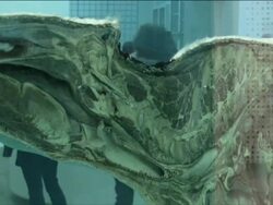 Hirst honoured at Tate Modern Stock Footage