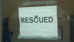 Helsingborg startup rescues unsold fruit News Clip