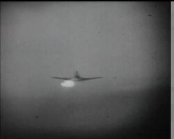 VISITORS TO SYDNEY News Clip