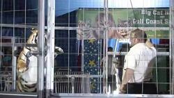 VOICED: Reviviendo la tradicion circense News Clip