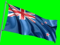 New Zealand Flag Stock Footage