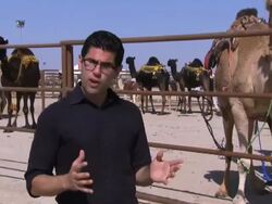 Thousands flock to camel beauty pageant News Clip