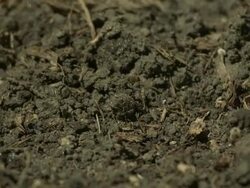 High speed Rain on earth Stock Footage