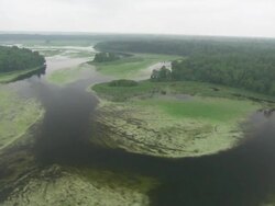 WS POV AERIAL DS Forest  near mississippi river / Minneapolis, Minnesota, United States  Stock Footage