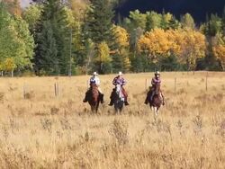 Cowboy and two cowgirls riding through the mountain foothills Stock Footage