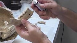 CLEAN : Archaeologists go high tech to solve 2,500 year-old Greek case News Clip