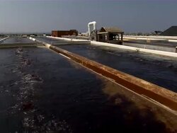 Shot of abalone tanks. Stock Footage