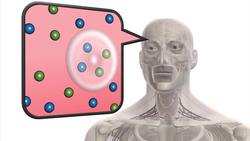 Acute water intoxication explained Instructional Video