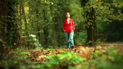 Walking Autumn Stock Footage