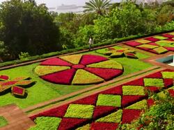 Botanical Gardens Stock Footage