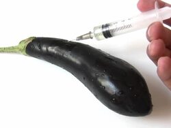 Aubergine Genetic Modification Stock Footage