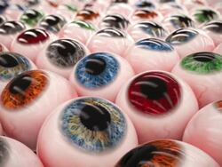 Lots of glossy eyes in a row loopable. Stock Footage