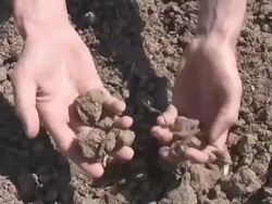 Aridity + mans hand Stock Footage