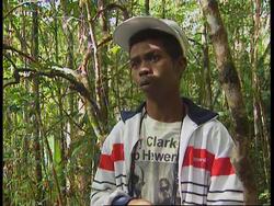 Madagascar - Efforts to save rainforest Instructional Video