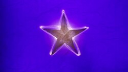 Glowing Paper Star Animation With Torchlight Edge Stock Footage