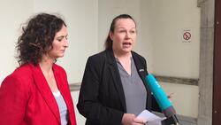 Sinn Fein publishes bill to reform Long Term Illness scheme News Clip