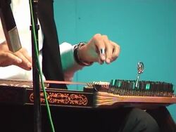 zither plaver Stock Footage