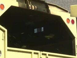 Tree Removal as a precaution for future storms Stock Footage