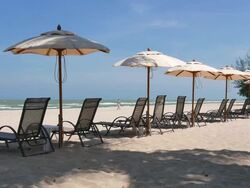 HD Umbrella on the beach Stock Footage