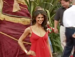 Walt Disney Pictures? 'Pirates of the Caribbean: Dead Man's Chest' World Premiere Stock Footage