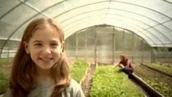 WS, USA, New York State, Bedford Hills, mother and daughter (8-9 years) crouching by greenhouse vegetable garden Stock Footage