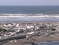 Beach #02 Stock Footage