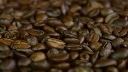 Coffee bean - extreme close up Stock Footage