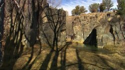 Dinosaurs To Birds Stock Footage