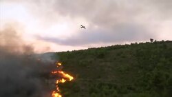 Bush fire near Greek capital Instructional Video