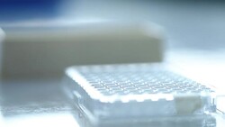 Scientist transfer mix small volume liquids within 96 well dishes, Slow motion Stock Footage