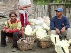 MS PAN Miners resting at the weighting cabin / Ijen, Java, Indonesia Stock Footage