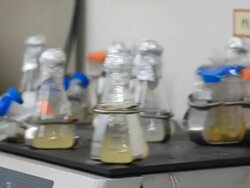 Test tubes in a shaker Stock Footage