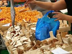 Sell of mushrooms on open market Stock Footage