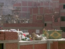 WS Shot of man walking on under construction building roof top / Cairo, Egypt Stock Footage