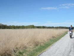 Girl riding a bike in nature Stock Footage