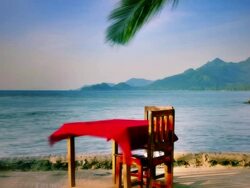 Romantic dinner Stock Footage