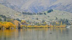 Lake Wanaka and Hayes in Autumn Stock Footage