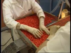 PERU: PLANT FOUND IN JUNGLE BELIEVED TO CURE MANY DISEASES News Clip