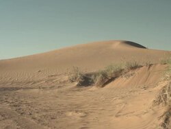 sand dune w grass Stock Footage