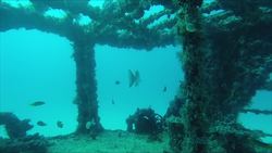 Republic of Macedonia, Lake Ohrid with the Bay of the Bones Instructional Video