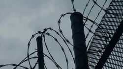 Barbed Wire Stock Footage