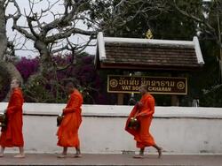 WS Buddhist Monks collecting alms in  morning  AUDIO / Luang Prabang, Luang Prabang, Laos Stock Footage