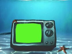 Underwater television Loop chroma Tropical Stock Footage