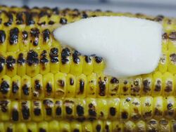 Corn on the Cob Stock Footage
